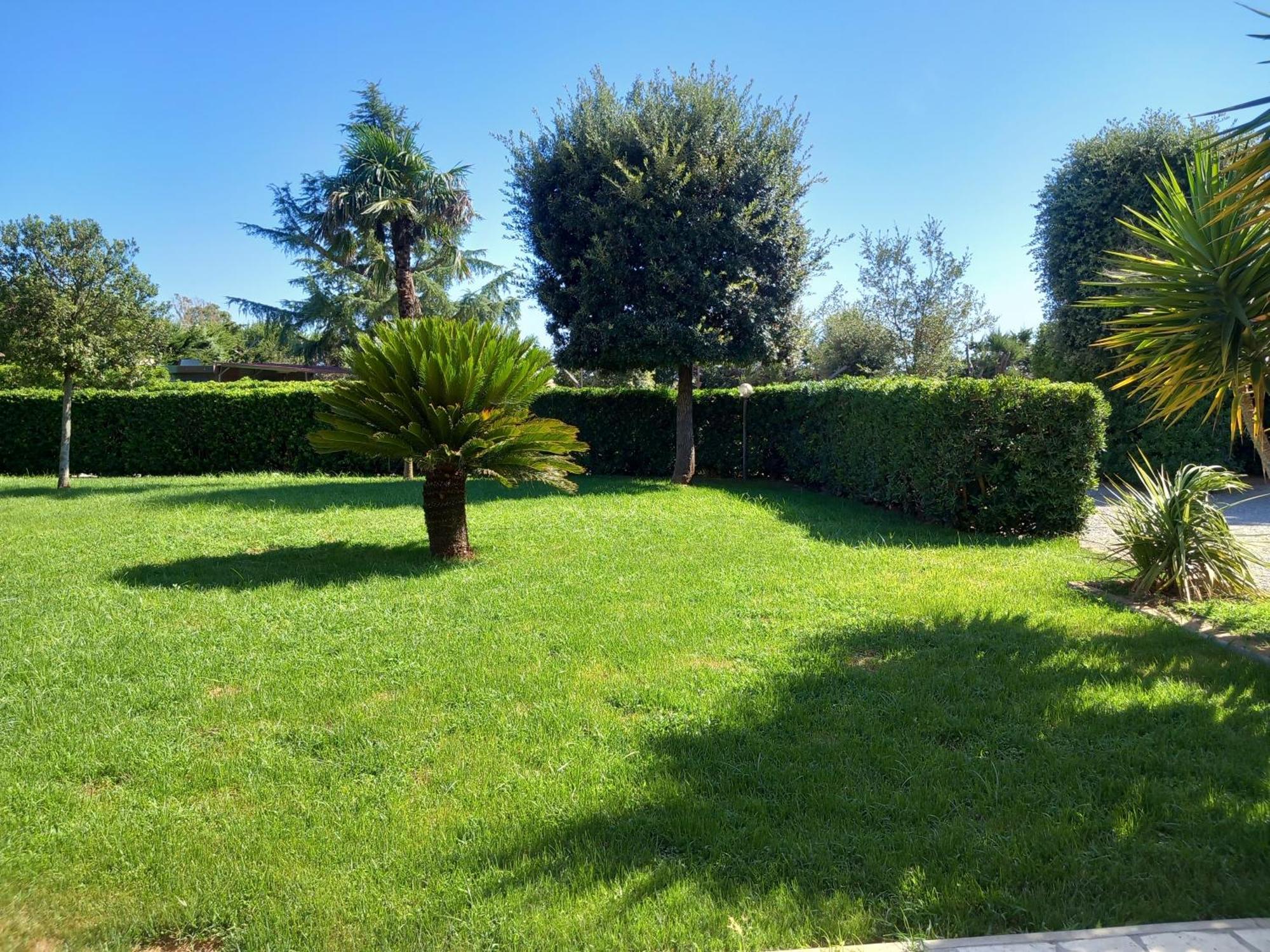 Villa Nato Contadino Capalbio Exterior foto
